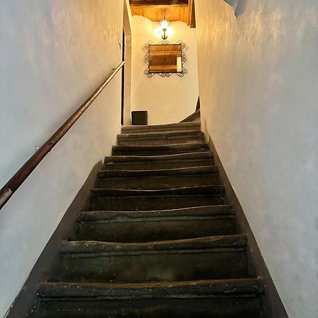 Navona Fox House Apartment Roma Ngoại thất bức ảnh