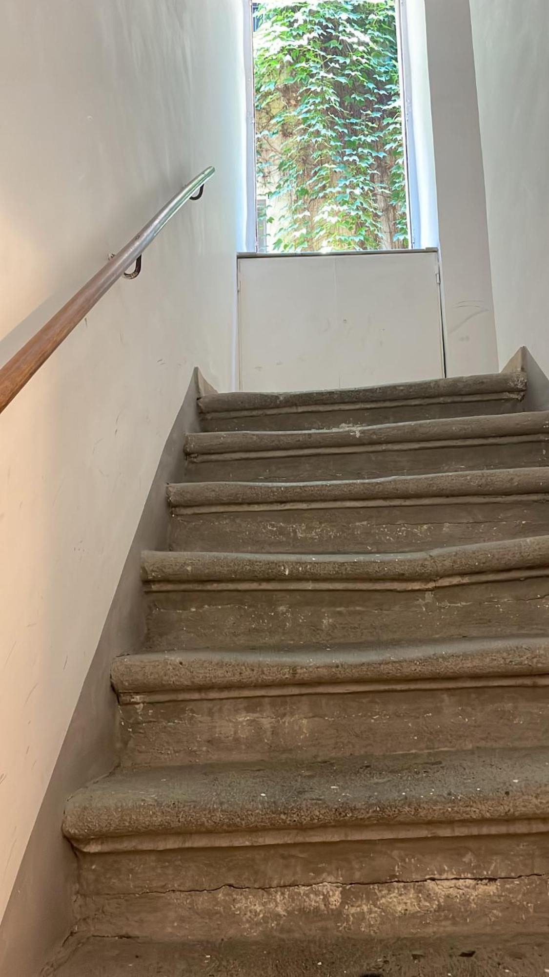 Navona Fox House Apartment Roma Ngoại thất bức ảnh
